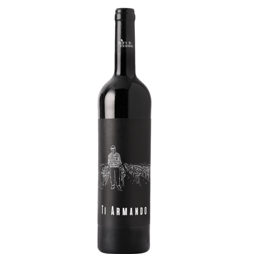 Ti Armando 2023 tinto 1