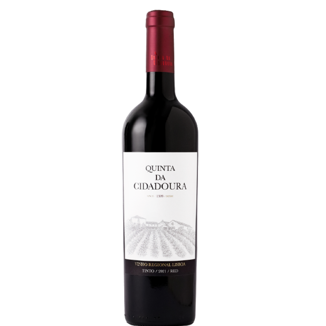 Quinta da Cidadoura 2021 tinto 1