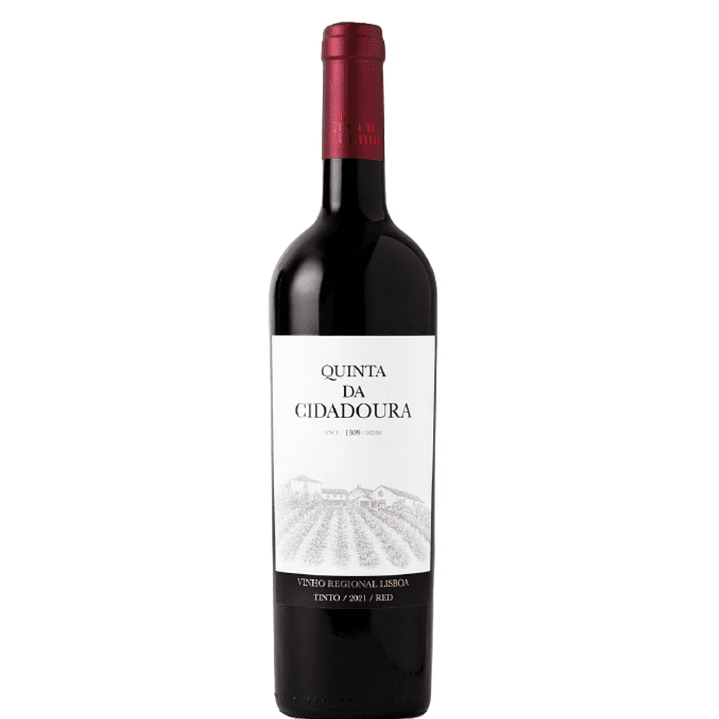 Quinta da Cidadoura 2021 tinto 1