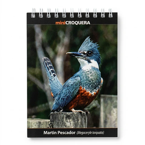Mini croquera - Fauna Chilena (Martín pescador)