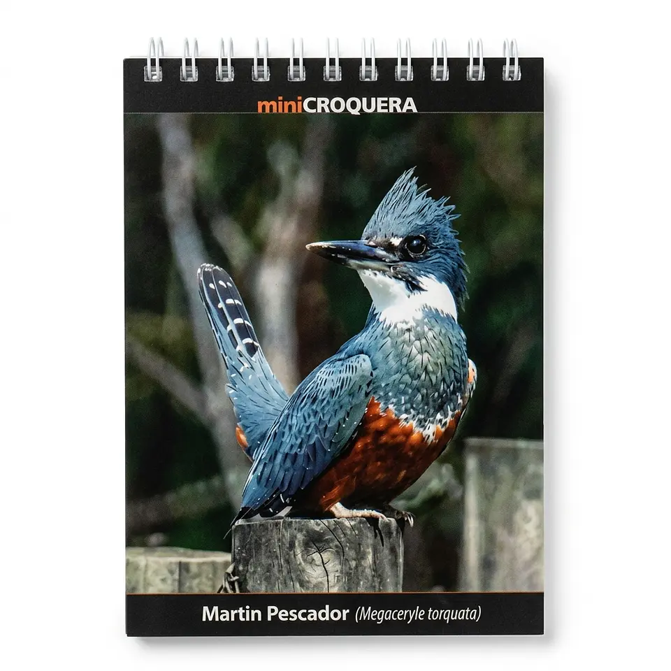 Mini croquera - Fauna Chilena (Martín pescador) 1