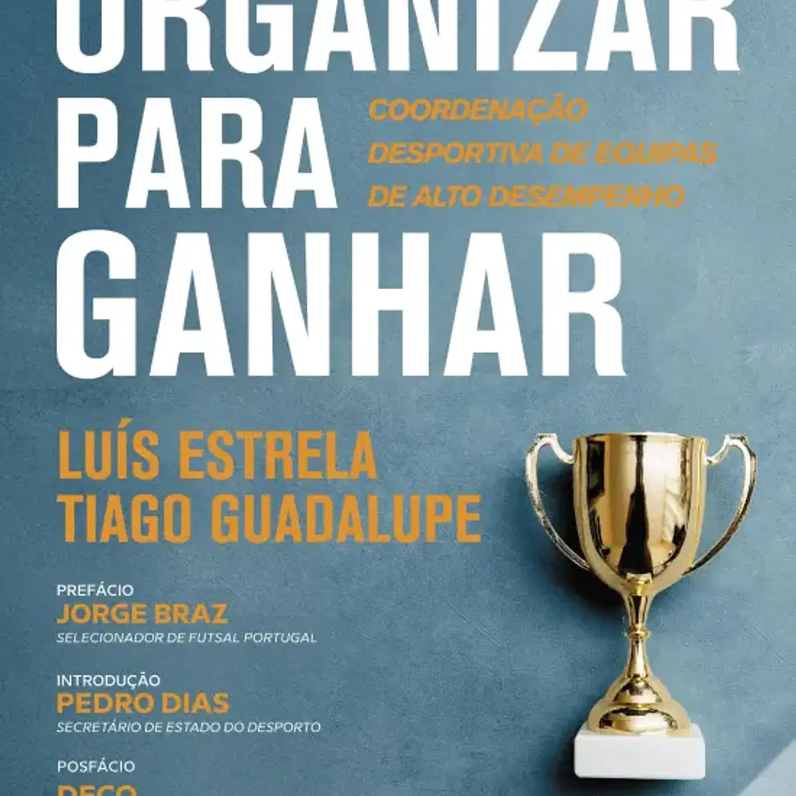 Organizing to Win - by Luís Estrela and Tiago Guadalupe (Portuguese version) 1