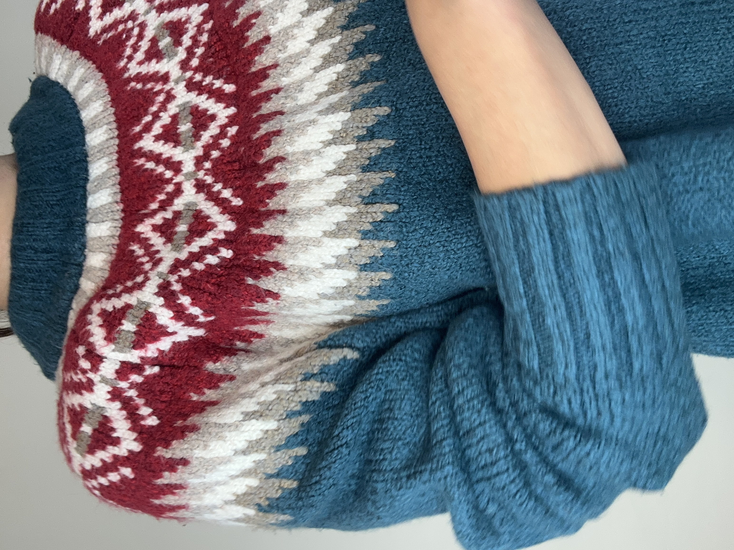 SWEATER AMERICA EAGLE | L 3