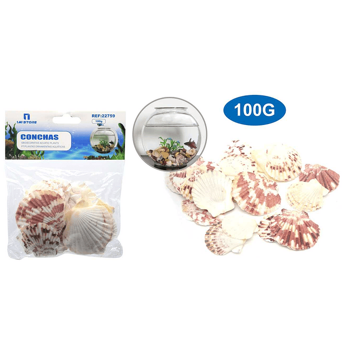 CONCHAS DECORATIVAS ACUARIO 100G 1