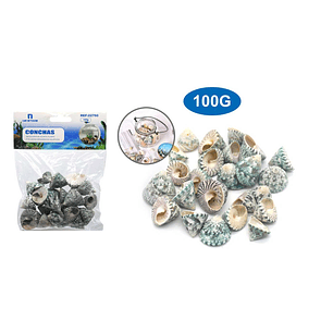 CONCHAS DECORATIVAS ACUARIO 100G