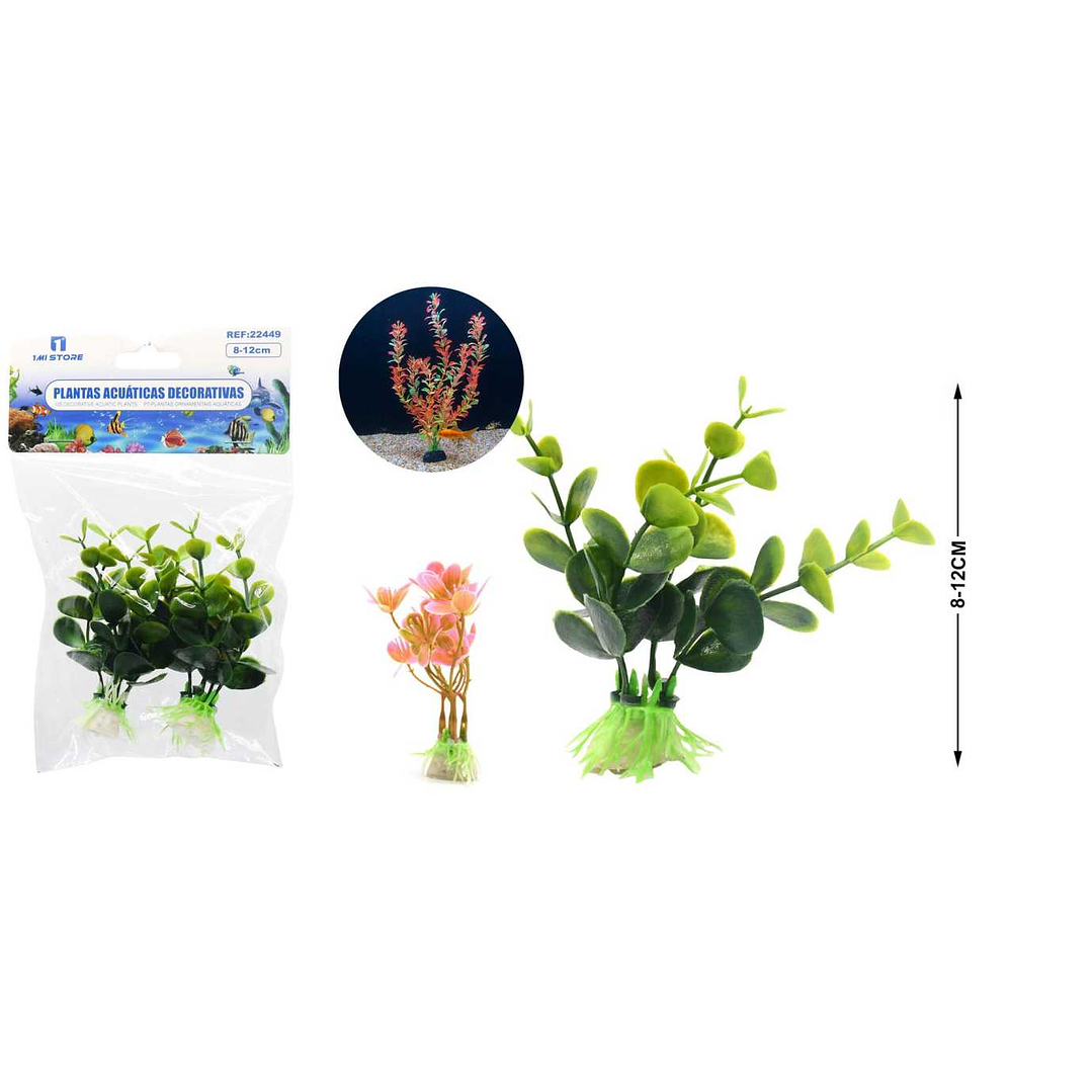 PLANTA ACUATICA DECORATIVA 8-10 CM 1