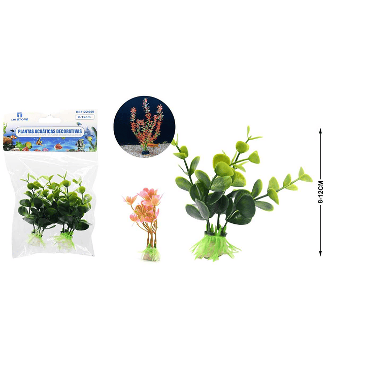 PLANTA ACUATICA DECORATIVA 8-10 CM 1