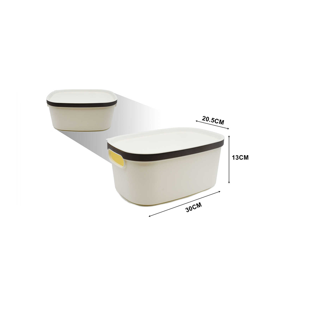 CESTA DE ALMACENAJE MULTIUSOS CON TAPA 2