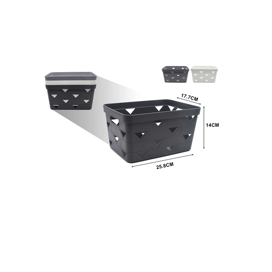 CESTA ORGANIZADORA DE PLASTICO MULTIUSOS 25.8CM 1