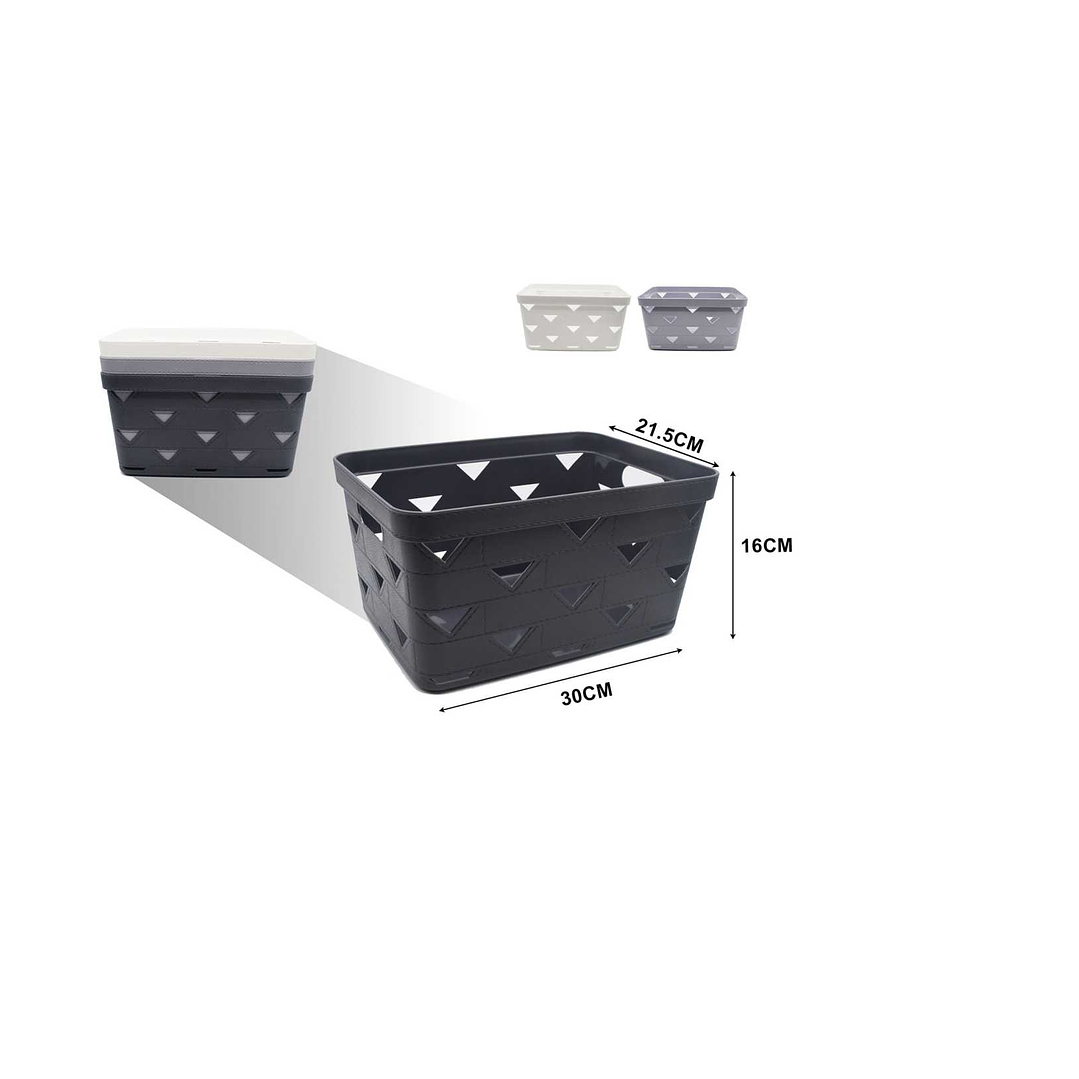 CESTA ORGANIZADORA DE PLASTICO MULTIUSOS 30CM 1