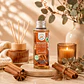 AMBIENTADOR MIKADO CANELA 100ML CASA DE LOS AROMAS - Miniatura 1