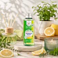 AMBIENTADOR MIKADO NEUTRALIZADOR DE OLORES LIMON Y HERBAL 100ML CASA DE LOS AROMAS - Miniatura 1