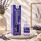 AMBIENTADOR MIKADO BASIC LAVANDER WILD 95ML CASA DE LOS AROMAS - Miniatura 1