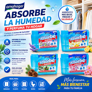 ABSORBE HUMEDAD PERFUMADO 40GR