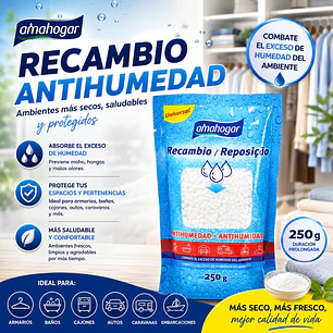 RECAMBIO ANTIHUMEDAD 250GR GRANEL