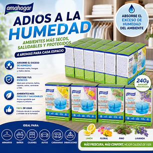 RECAMBIO ABSORBE HUMEDAD PERFUMADO 240GR