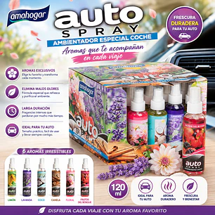AUTO SPRAY ESPECIAL COCHE 120 ML