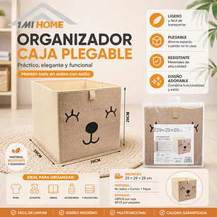 ORGANIZADOR CAJA PLEGABLE 29X29CM