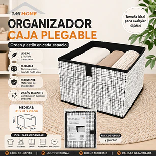 ORGANIZADOR CAJA PLEGABLE 20X31CM
