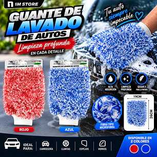 GUANTES DE LAVADO DE AUTO 19 X 26CM