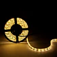 Faixa de 300 LEDs 80W 4.400Lm CRI85 6000ÂºK SMD5630 12VDC x5M 40.000H [CA-PL219010-CW]-Branco Frio - Thumbnail 3