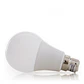 LÃ¢mpada LED B22 5W 450Lm 6000ÂºK Baioneta 40.000H [GR-ED-B3-B22-5W-CW] - Thumbnail 3