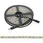 Faixa de 300 LEDs 72W 4.200Lm CRI85 6000ÂºK SMD5050 12VDC IP65 x5M 40.000H [PL219010W]-Branco - Thumbnail 1