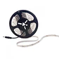 Faixa de 300 LEDs 24W 1.200Lm CRI85 6000ÂºK SMD3528 12VDC IP65 x5M 40.000H [PL219002W]-Branco - Thumbnail 2