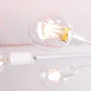 Luz De Teto 