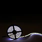 Faixa de 300 LEDs 60W 7000Lm CRI85 4200ÂºK SMD5050 24VDC IP65 x5M 40.000H [CA-5050-60-24-IP65-W]-Branco Natural - Thumbnail 1