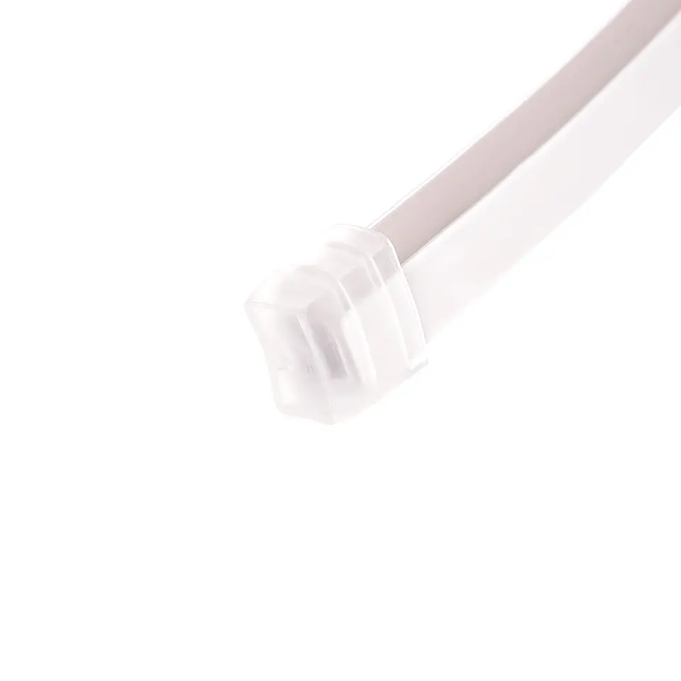 Tampao Final Neon LED Wr 220V 3