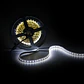 Faixa de 600 LEDs 48W 2256Lm CRI85 2700ÂºK SMD3528 12VDC x5M 40.000H [PL219005WW]-Branco Quente - Thumbnail 3