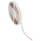 Fita LED SMD 2835 10M 12W/M 1920Lm/M 4000ÂºK IP20 24VDC - Thumbnail 3