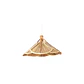 Lampada Pendurada 