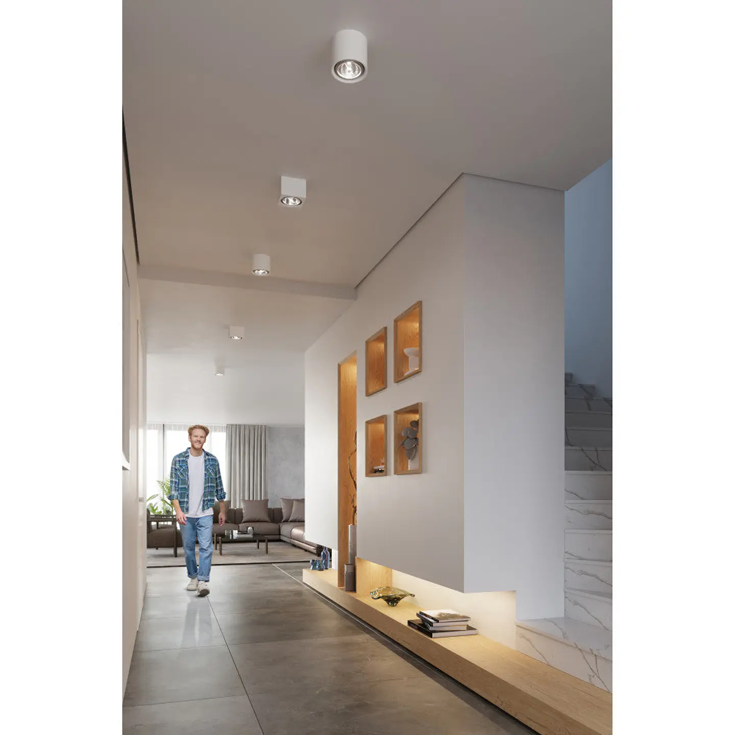 Luz De Teto 