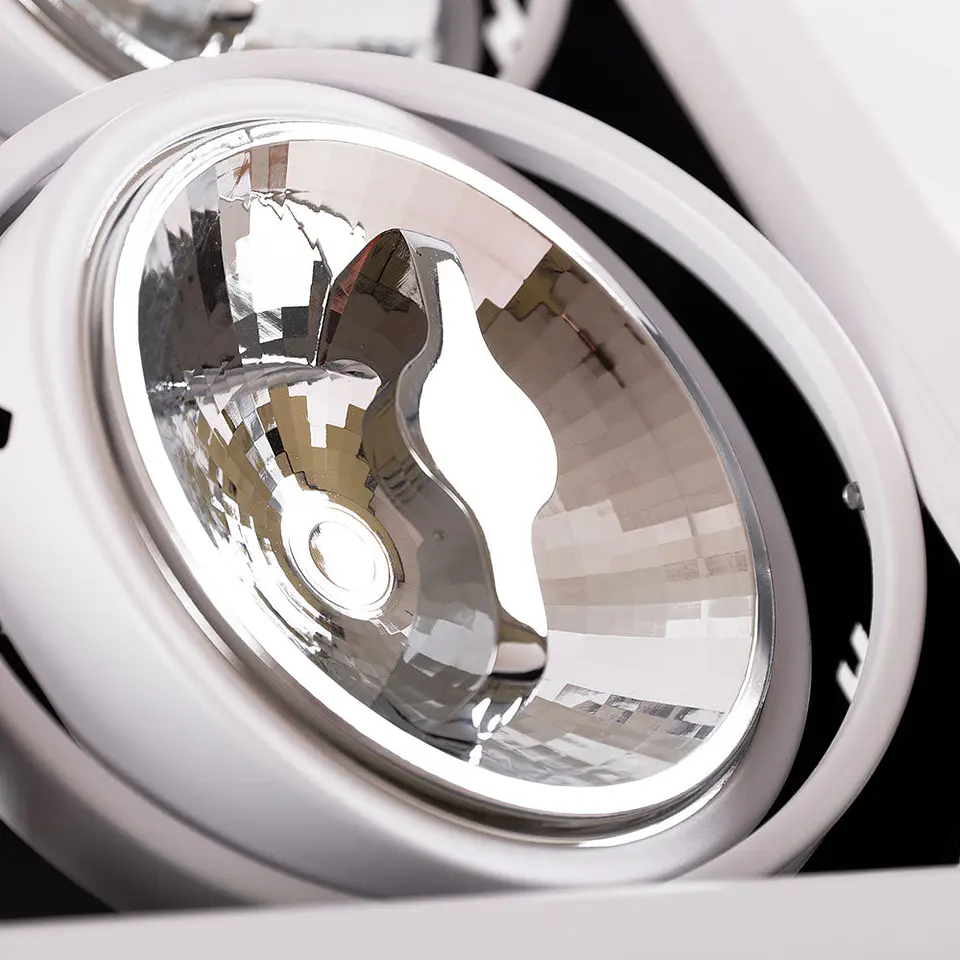 Foco Downlight LED Cardan 24W 2246Lm 2700ÂºK CREE RAâ–º90 40.000H [JW-CAR-LED-2x12W-WW] 2