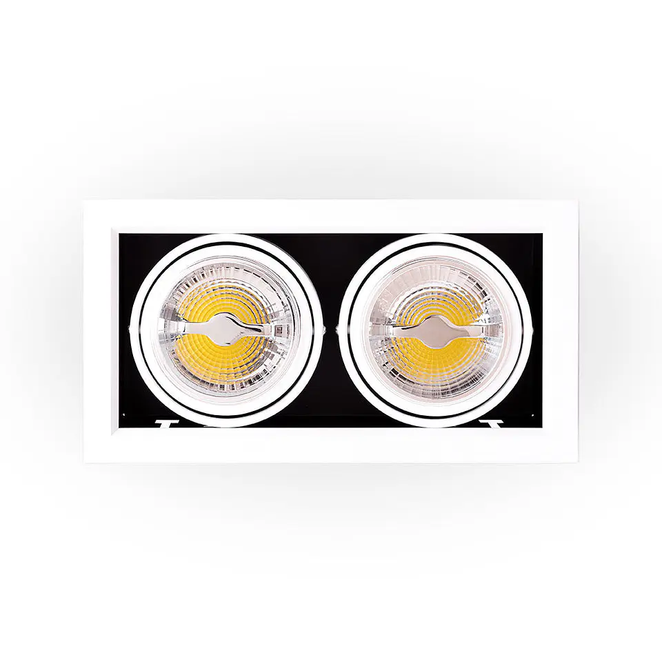 Foco Downlight LED Cardan 24W 2246Lm 2700ÂºK CREE RAâ–º90 40.000H [JW-CAR-LED-2x12W-WW] 3