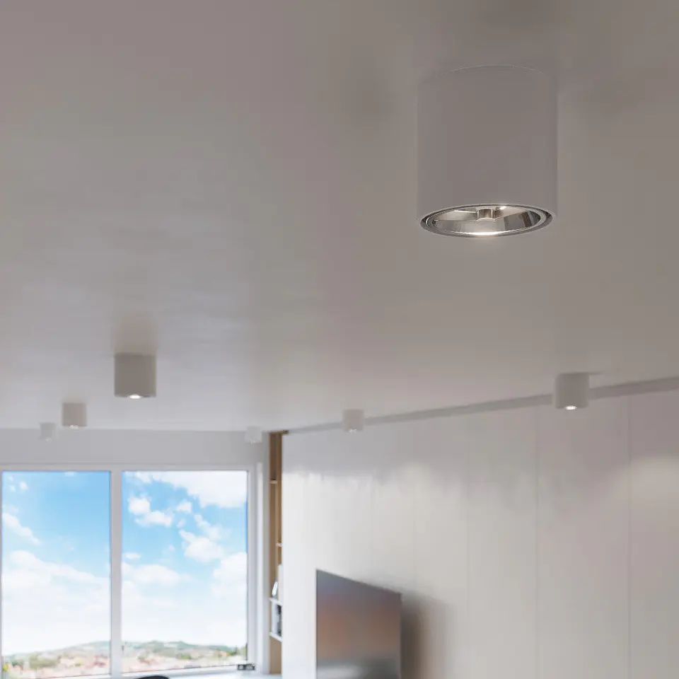 Luz De Teto 