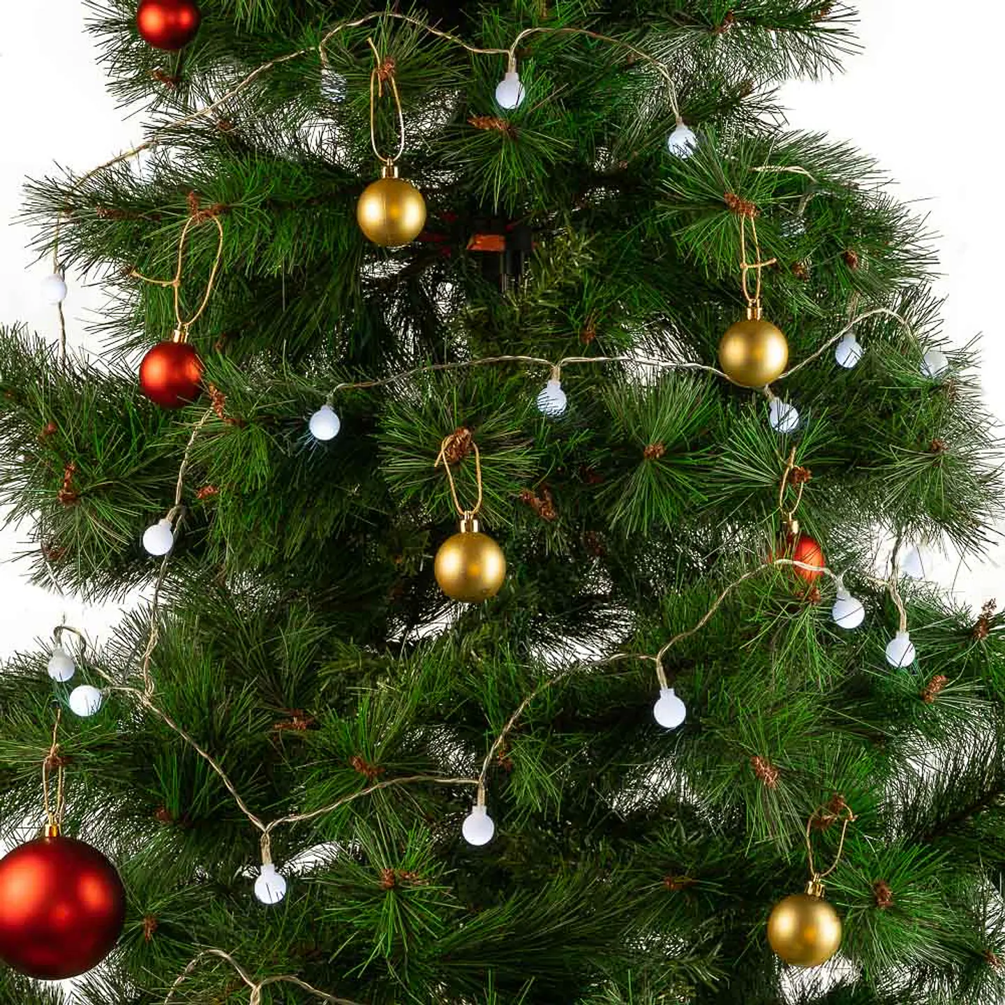Guirlanda LED interna 6M [HO-XMAS-038-IP20-6M-RGB] 1