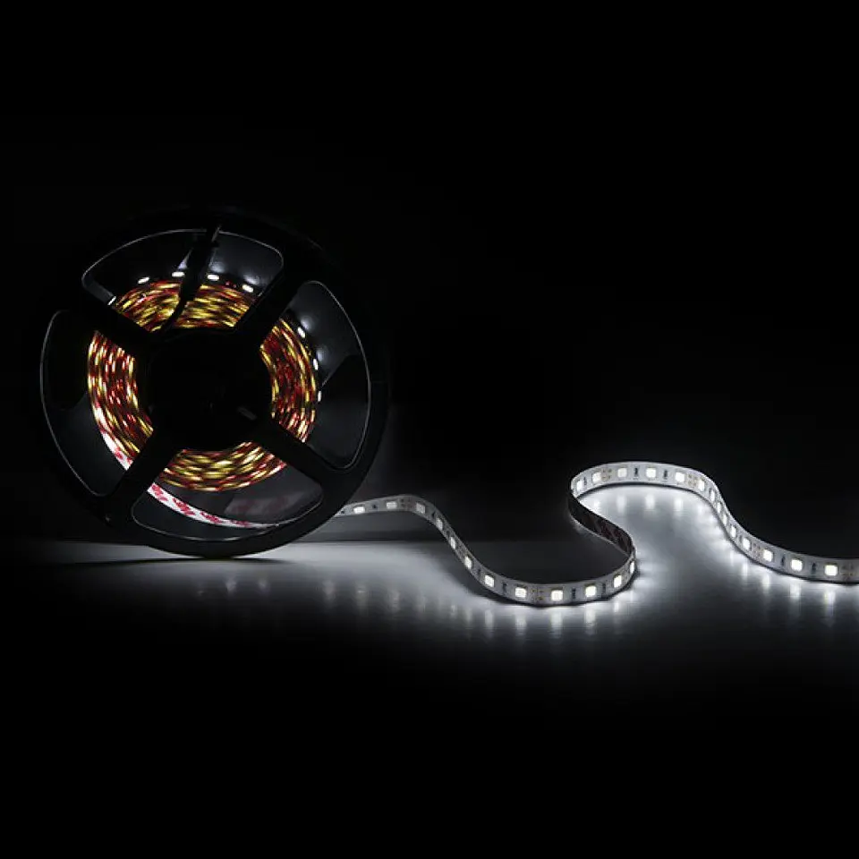 Faixa de 300 LEDs 60W 15.000Lm 6000ÂºK SMD5252 12VDC IP20 x5M 50.000H [WM-5252-300-CW]-Branco Frio 1