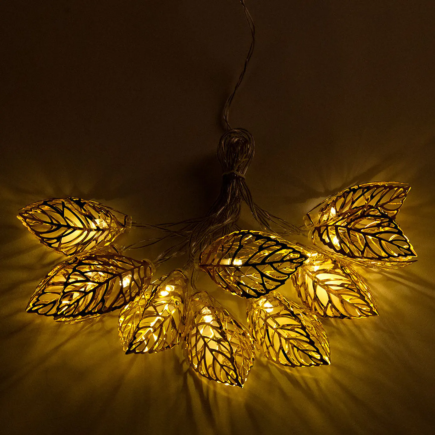 Guirlanda LED interna 2M [HO-XMAS-046-IP20-2M-WW] 3