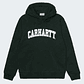 HOODED SWEATSHIRT UNIVERSITY (GREEN) - Thumbnail 1