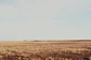 Fujifilm Velvia 100 · 35mm · 36 exp - Thumbnail 6