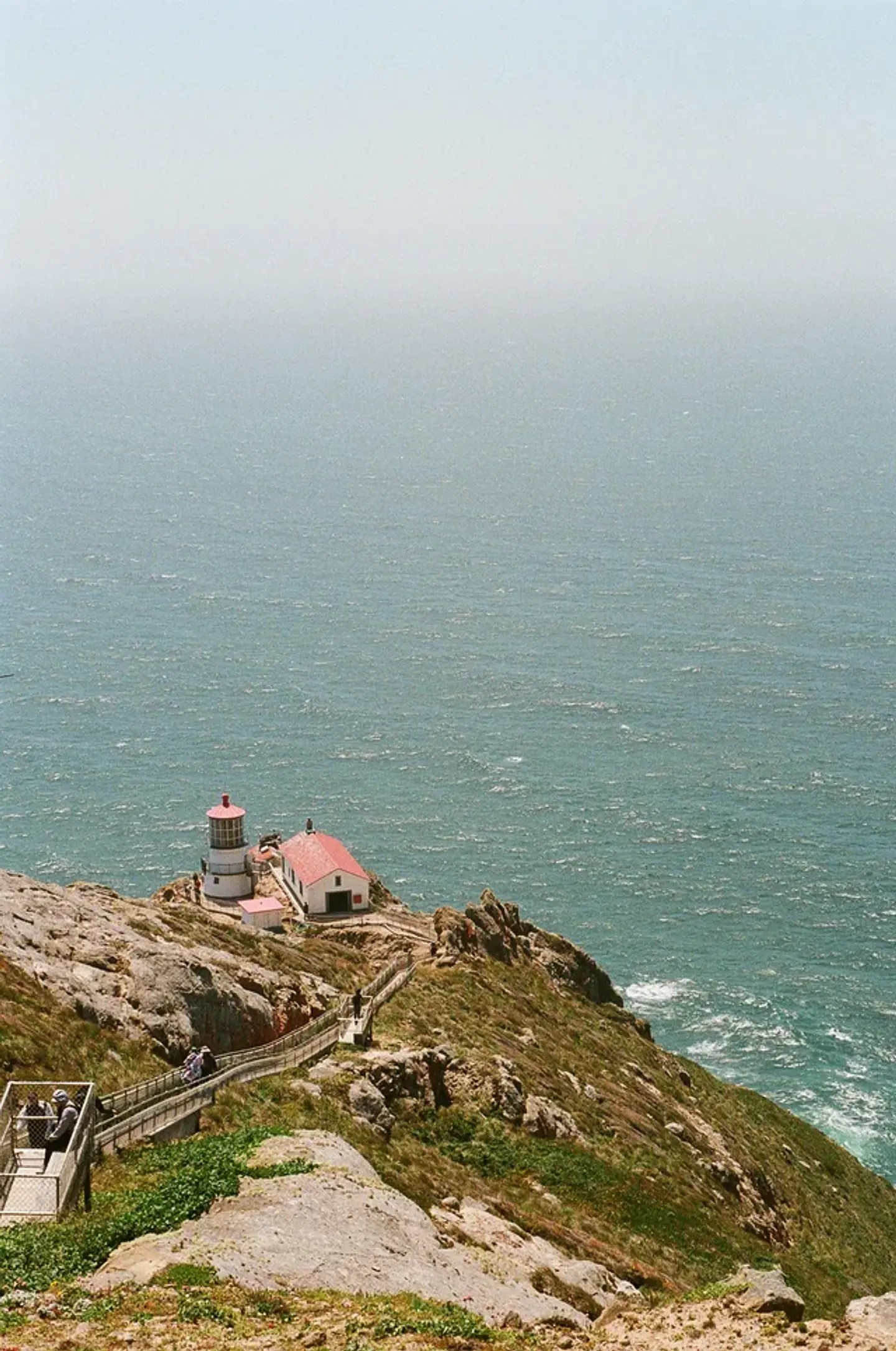 Fujifilm 400 · 35mm · 36 exp 5