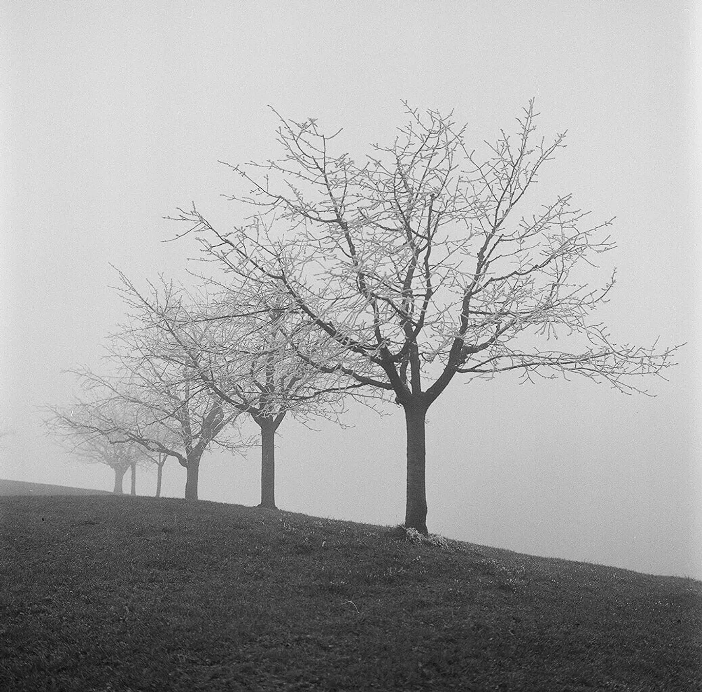 Ilford HP5 400 Plus · 120 · 12 exp 5