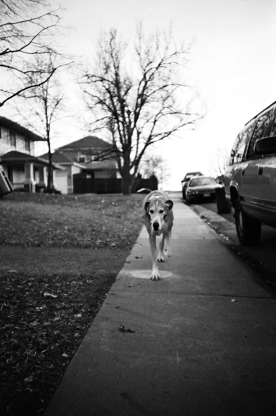 Agfaphoto APX 400 Pro · 35mm · 36 exp 3