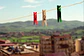 KODACOLOR - Thumbnail 2