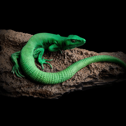 Impresora 3D Elegoo MARS 4 ULTRA