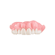 Resina Arma Denture