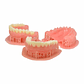 Resina Prizma BioDenture - Miniatura 2